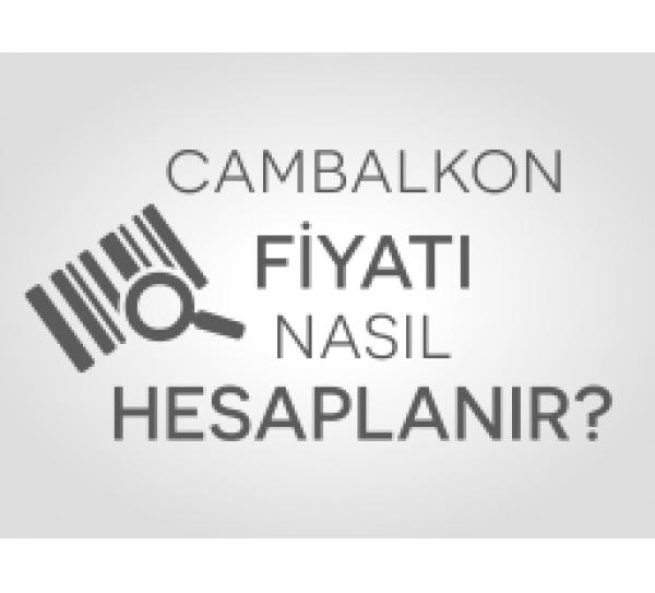 Albert Genau Cam Balkon